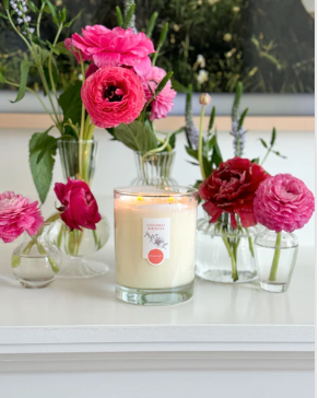 Illuminate Your Home with DANI Naturals Non-Toxic Soy Wax Candles