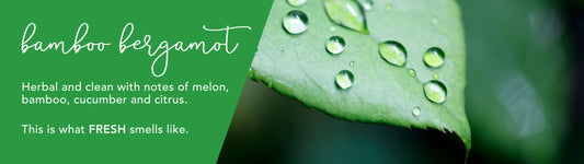Bamboo Bergamot