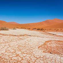Desert Mineral Salt